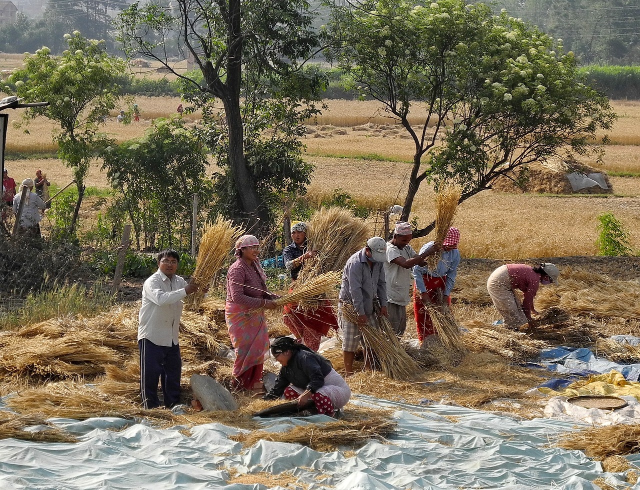 The Spiritual Journey of Nepal's Holi Festival